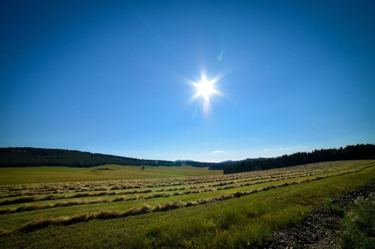 Zlatibor Hills Afrodita & Spa מראה חיצוני תמונה